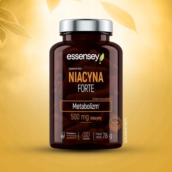 NIACIN FORTE 500MG SKIN FATIGUE NERVOUS SYSTEM 240 DAYS VITAMIN B3 VIT PP (Set of 2) - Image 5