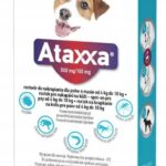 ATAXXA TICK DROPS FOR DOGS 4-10kg 1x1.0ml