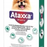 ATAXXA TICK DROPS FOR DOGS UP TO 4 KG 1x0.4 ml