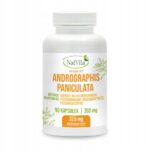 Andrographis Paniculata Extract Immunity Liver 90 Caps 390mg NatVita