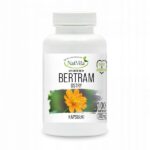 Bertram Sharp St. Hildegard's Herb Depression Blood 350mg 100 Capsules NatVita