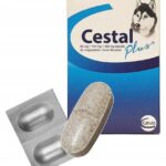 CESTAL PLUS TABLETS DE-WORMING DOGS WORMS 2pcs