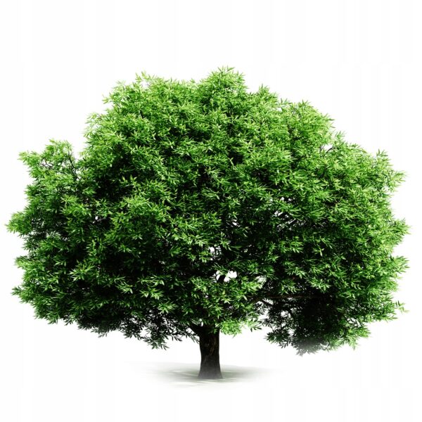 DMSO Dimethyl Sulfoxide 99.99% Very High Purity PURE 1000 ml NatVita - Image 2