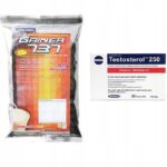 Gainer 737 500g Testosterol 250 30caps (Set of 2)