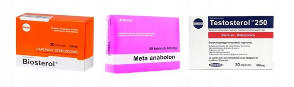 META-ANABOLON-TESTOSTEROL-BIOSTEROL-SILA-i-MASA Meta Anabolone +Testosterol +Biosterol Strength and Mass (Set of 3) - Image 1