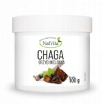 Chaga Mushroom Powdered Glow Subcortical Extract Immunity 100g NatVita