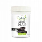 Mumio Shilajit 20-30% Fulvic Acid Mountain Balsam Minerals Vitamins 10g NatVita