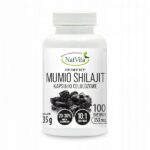 Mumio Shilajit Extract 10:1 Balsam of the Mountains Strong Bones 100 Capsules 350mg NatVita
