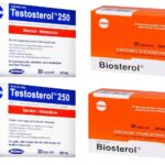 TESTOSTEROL BIOSTEROL STRENGTH AND MASS SUPPLEMENT SET (Set of 4)