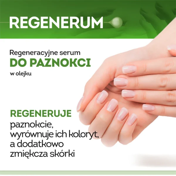 Regenerum, regenerating nail serum, 5 ml - Image 3