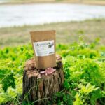 Acerola 100 capsules Natural vitamin C, prevents heart disease