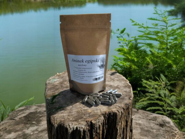 Aminek Egipt 100 gelatin capsules! SPASMOLIC ACTION, PROSTATE! - Image 1