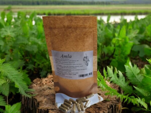 Amla 100 caps Strengthens the heart and circulatory system, reduces sugar levels - Image 1