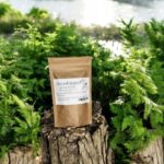 Angelica root 100 gelatin capsules !!!BETTER DIGESTION!!!