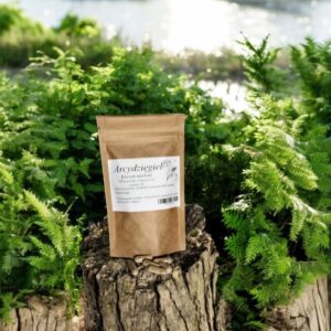 Angelica root 100 gelatin capsules !!!BETTER DIGESTION!!!