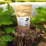 Aronia fruit 100 caps. atherosclerosis, cancer