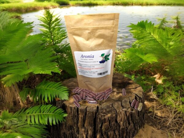 Aronia fruit 100 caps. atherosclerosis, cancer - Image 1