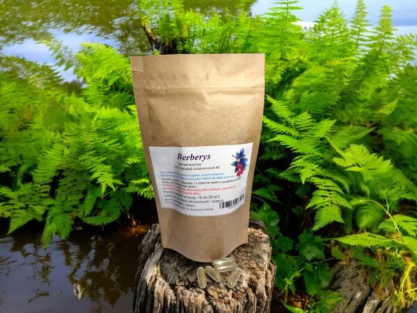 Barberry 100 caps. antiviral, beneficial effect on the nervous system - Image 1