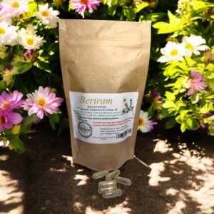 Bertam 100 gelatin capsules DIGESTION, STRENGTHENS IMMUNITY