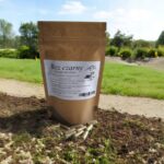 Elderberry flower 100 caps. Supports the circulatory system, antioxidant