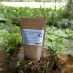 Smelly Budziszek 100 caps. for the liver and digestive system