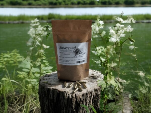 Tribulus 100 capsules Cholesterol, aphrodisiac, prostate - Image 1