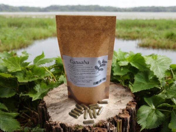 Catuaba 100 caps Aphrodisiac, helps with nervousness, improves memory - Image 1