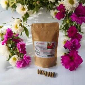 Cistus 100 gelatin capsules ANTI-INFLAMMATORY, ANTI-VIRAL