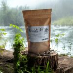 CLOVE 100 CAPSULES PARASITES DIGESTIVE VIRUSES ANTIOXIDANTS INFLAMMATION