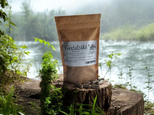 CLOVE 100 CAPSULES PARASITES DIGESTIVE VIRUSES ANTIOXIDANTS INFLAMMATION - Image 1