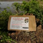 CLOVE 30 CAPS. PARASITES DIGESTIVE VIRUSES ANTIOXIDANTS INFLAMMATION