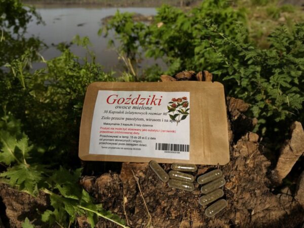 CLOVE 30 CAPS. PARASITES DIGESTIVE VIRUSES ANTIOXIDANTS INFLAMMATION - Image 1