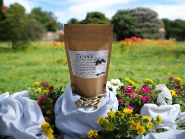 Glistnik-100-kap-rozkurczowe-na-oskrzela-i-przewod-pokarmowy Celandine 100 capsules antispasmodic for bronchi and digestive tract - Image 1