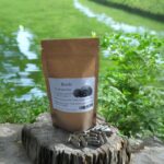 Reishi Mushroom in capsules 100 pcs !!! VITALITY !!!