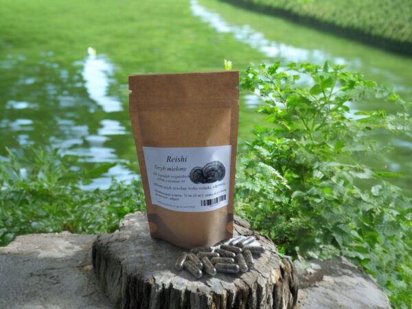 Reishi Mushroom in capsules 100 pcs !!! VITALITY !!! - Image 1