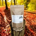 Shiitake mushroom 100 caps. anti-cancer, strengthens immunity