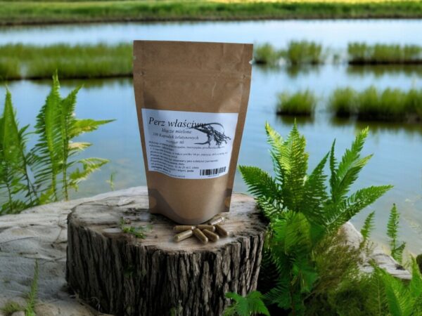 Guarana 100 caps. - Image 1