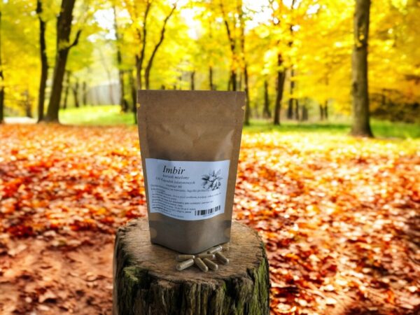 Ginger 100 caps. has a beneficial effect on digestion, relieves motion sickness - Image 1