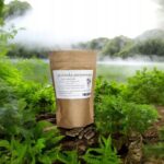 Purple coneflower 100 capsules antibacterial, viral, fungal