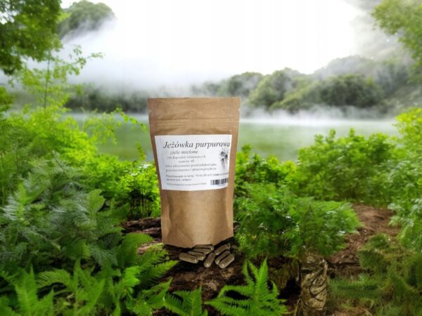 Purple coneflower 100 capsules antibacterial, viral, fungal - Image 1