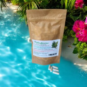 Boswellia serrata 100 caps. rheumatoid arthritis