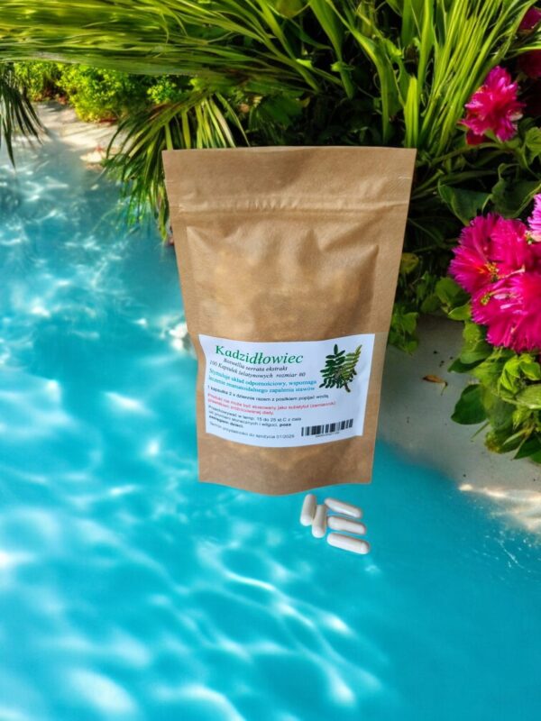 Boswellia serrata 100 caps. rheumatoid arthritis - Image 1