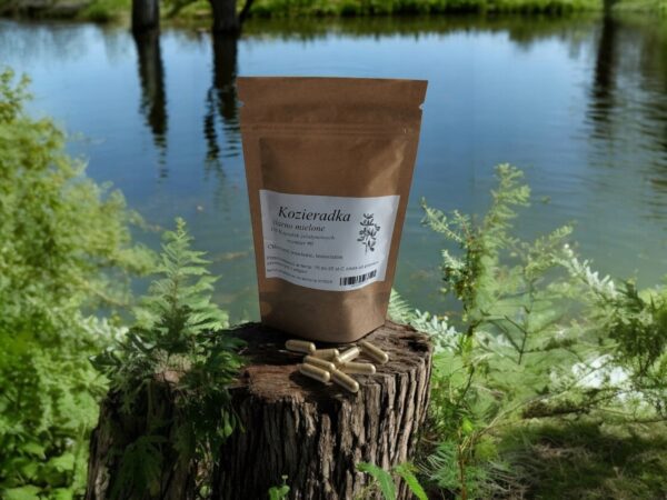 Fenugreek100 capsules Cholesterol, digestion, increase TESTOSTERONE - Image 1