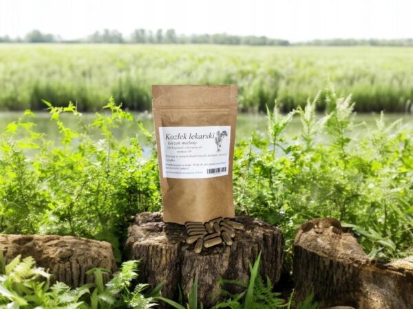 Valerian 100 capsules for spasms, colic, and stomach neurosis - Image 1