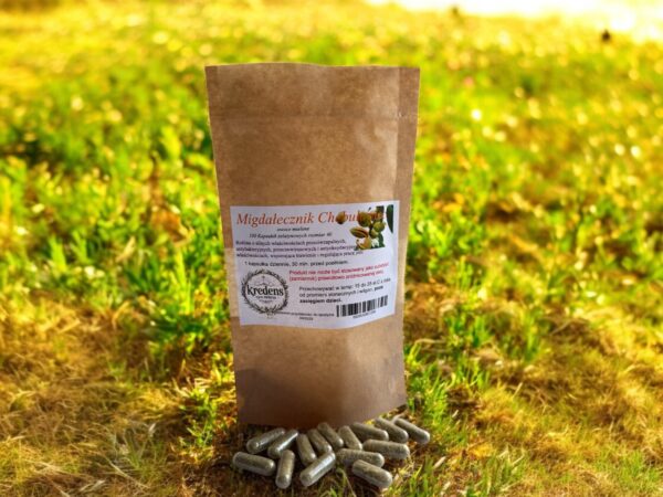 Almond Chebułowiec 100 gelatin capsules ANTI-INFLAMMATORY - Image 1