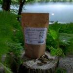 Ginkgo Biloba 100 gelatin capsules