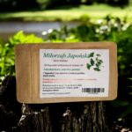 Ginkgo Biloba 30 gelatin capsules, memory improvement