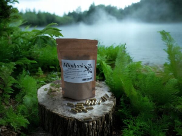 Honey 100 capsules !!! fully VEGAN!! for the respiratory tract - Image 1