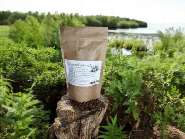 Mniszek-lekarski-korzen-100-kap-HPMC-Na-problemy-z-przewdem-pokarmowym Dandelion root 100 caps (HPMC) For digestive problems - Image 1