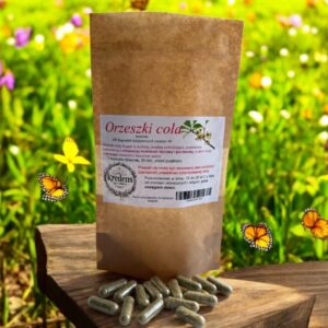 Cola Nuts 100 gelatin capsules STIMULATING, DIGESTION